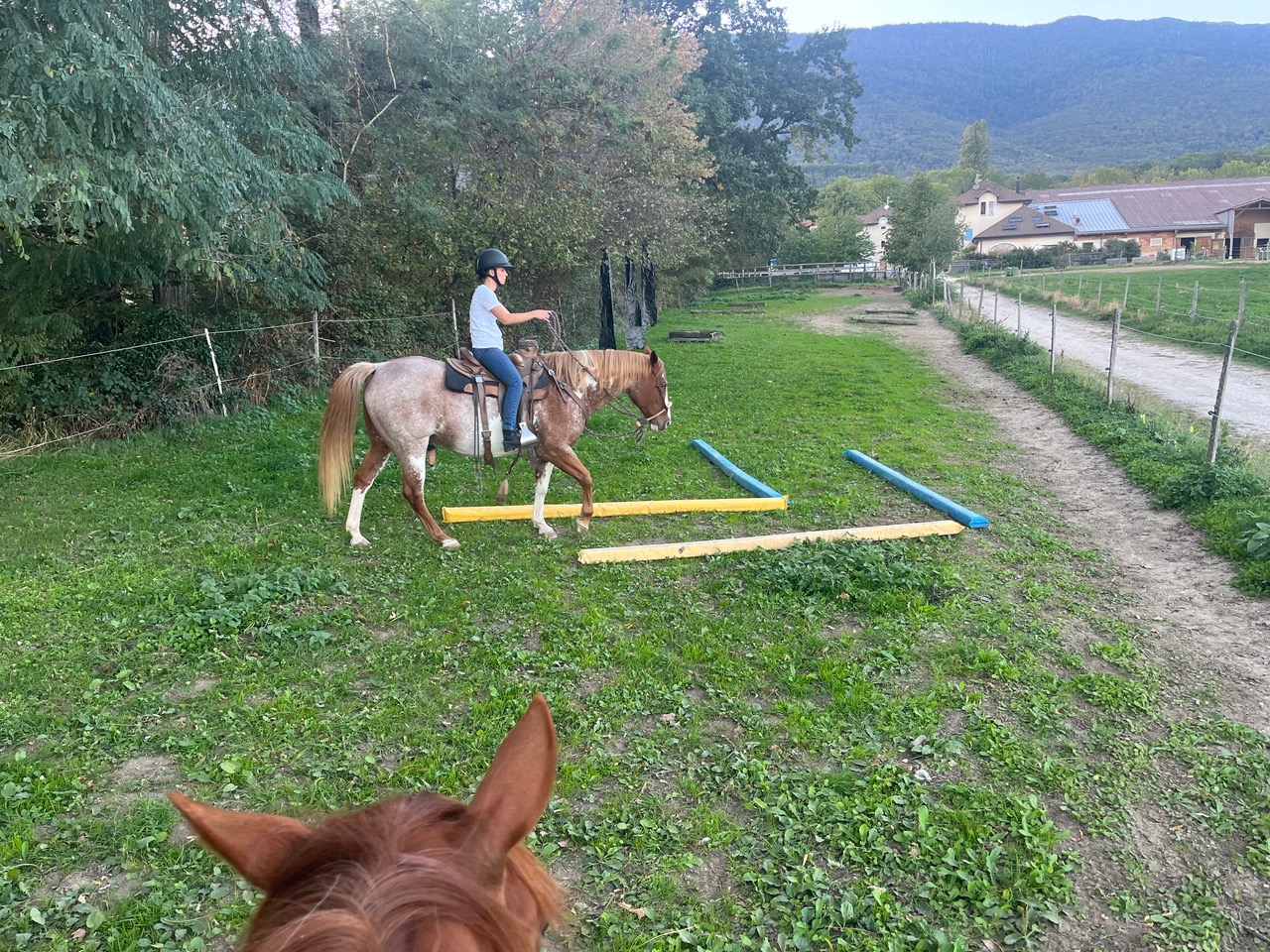 EQUITATION WESTERN TRAIL