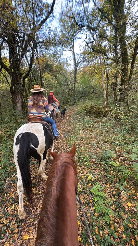 Equitation Western AIn et Genève