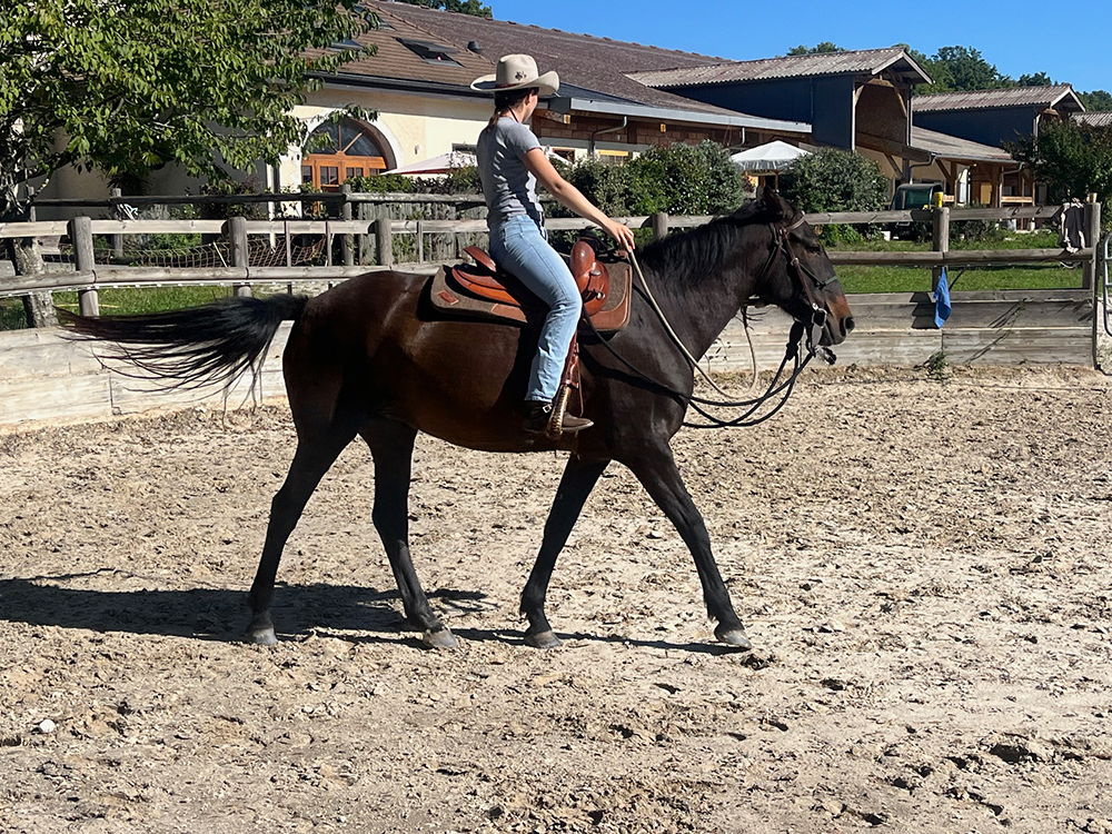 Equitation Western - Stage - Anniversaire