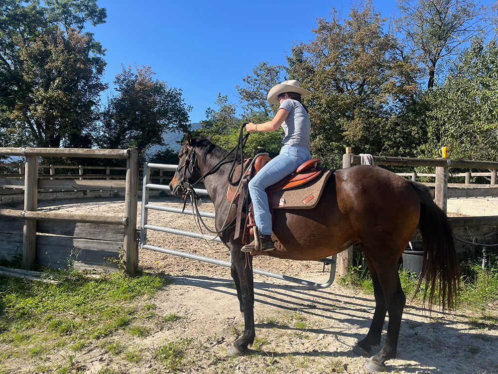 Equitation Western - Stage - Anniversaire