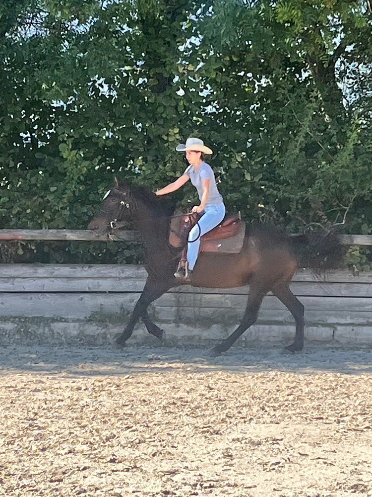 Equitation Western - Stage - Anniversaire