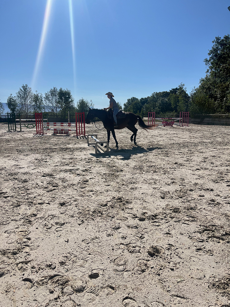 Equitation Western - Stage - Anniversaire