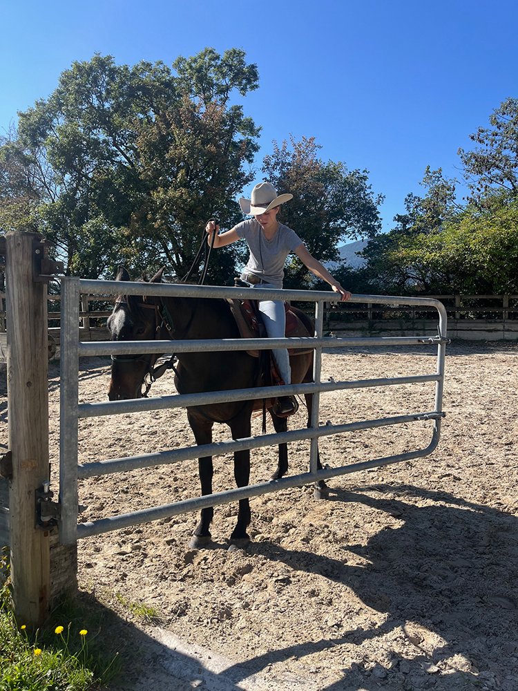 Equitation Western - Stage - Anniversaire