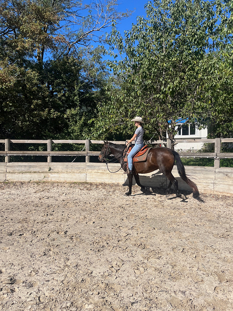 Equitation Western - Stage - Anniversaire