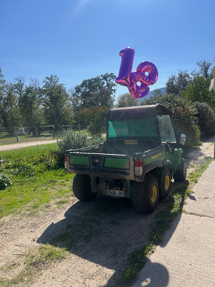 Equitation Western - Stage - Anniversaire