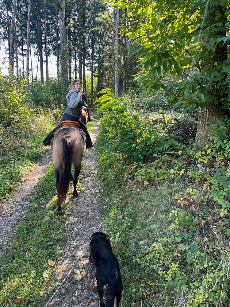 Equitation Western - Week end randonnée