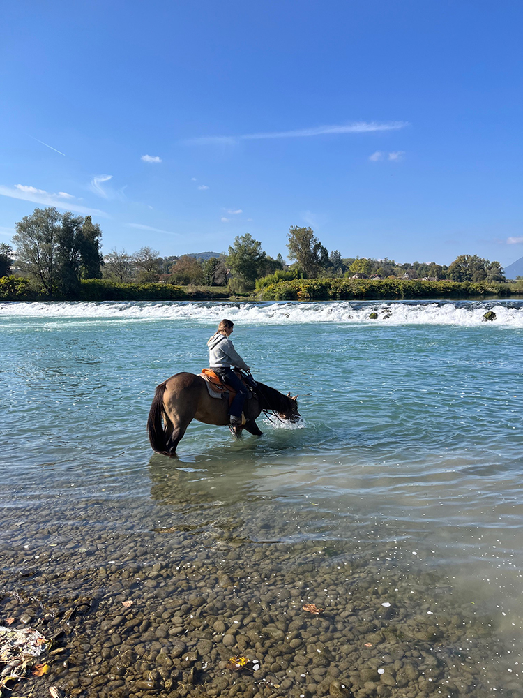 Equitation Western - Week end randonnée