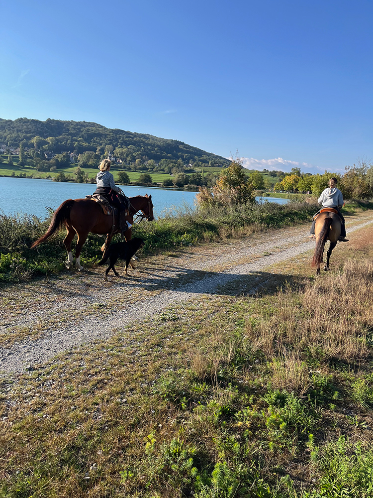 Equitation Western - Week end randonnée