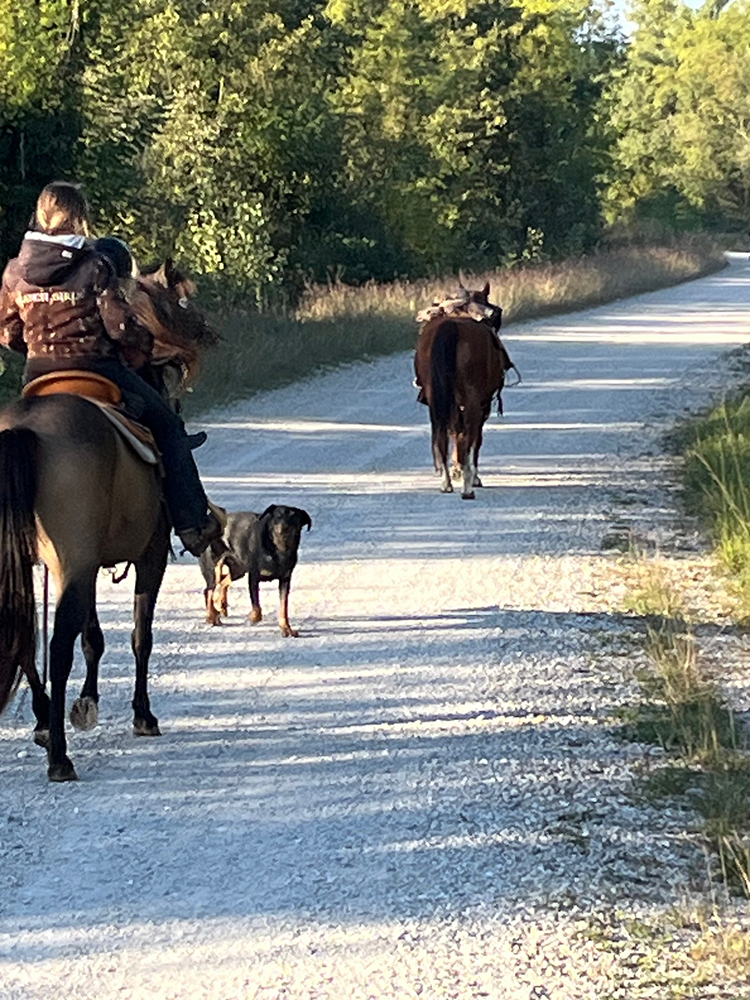 Equitation Western - Week end randonnée