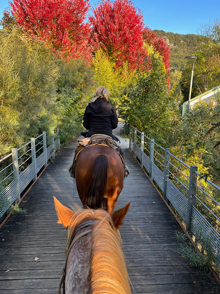 Equitation Western - Week end randonnée
