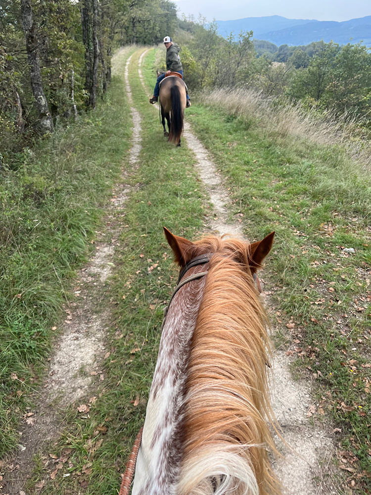 Equitation Western - Week end randonnée