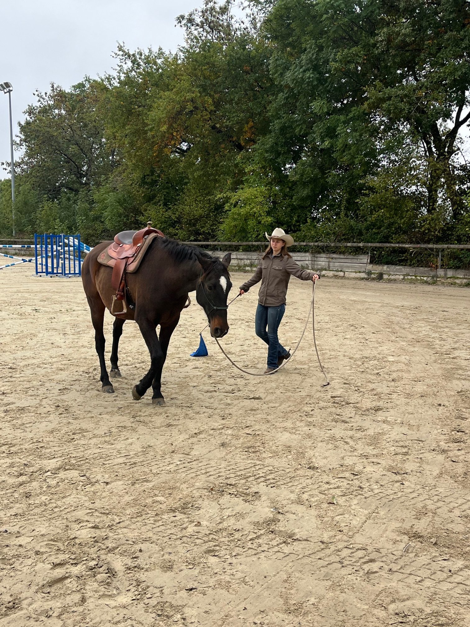 Equitation Western - Stage -Genève Ain