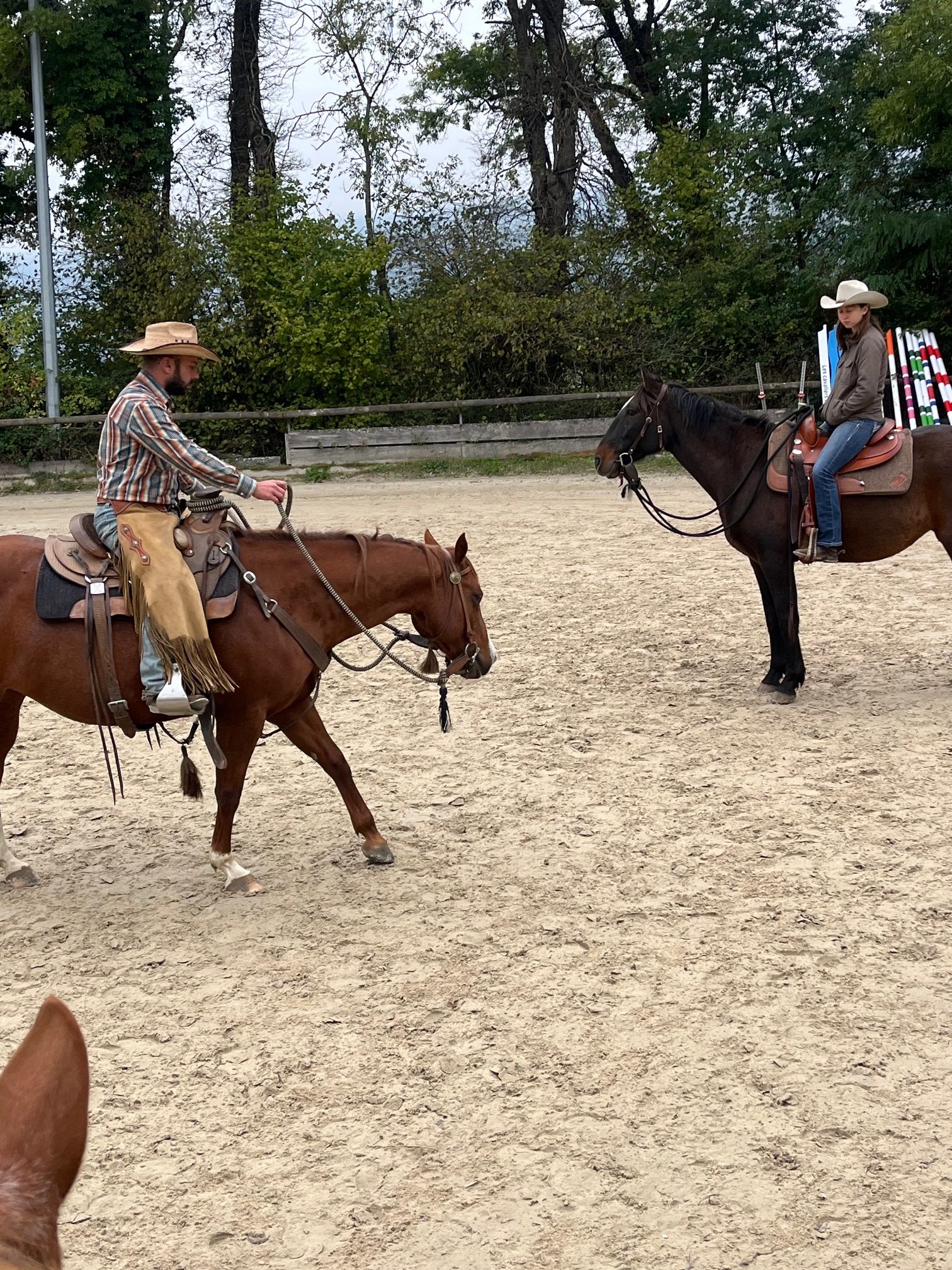Equitation Western - Stage -Genève Ain