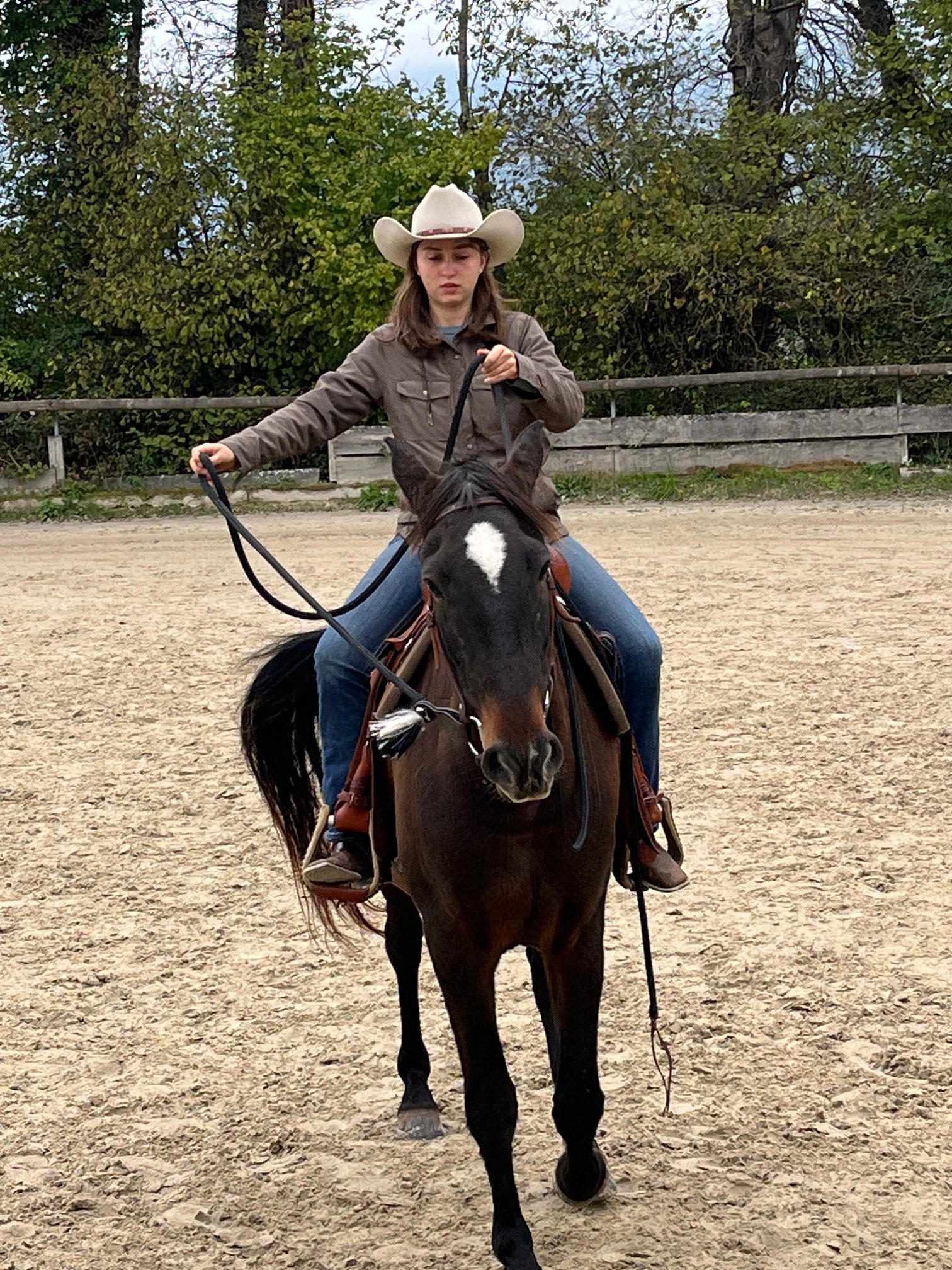 Equitation Western - Stage -Genève Ain