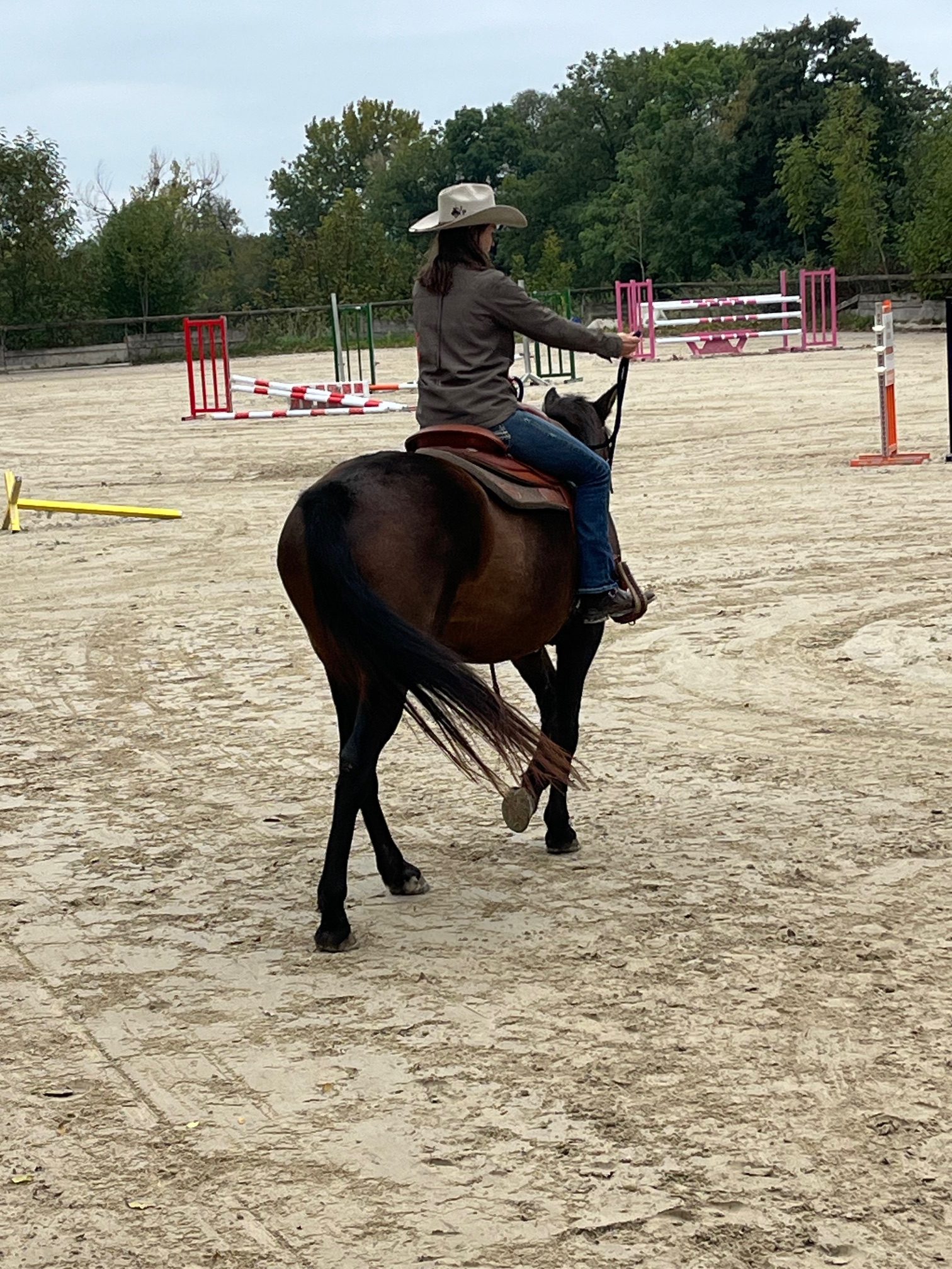 Equitation Western - Stage -Genève Ain