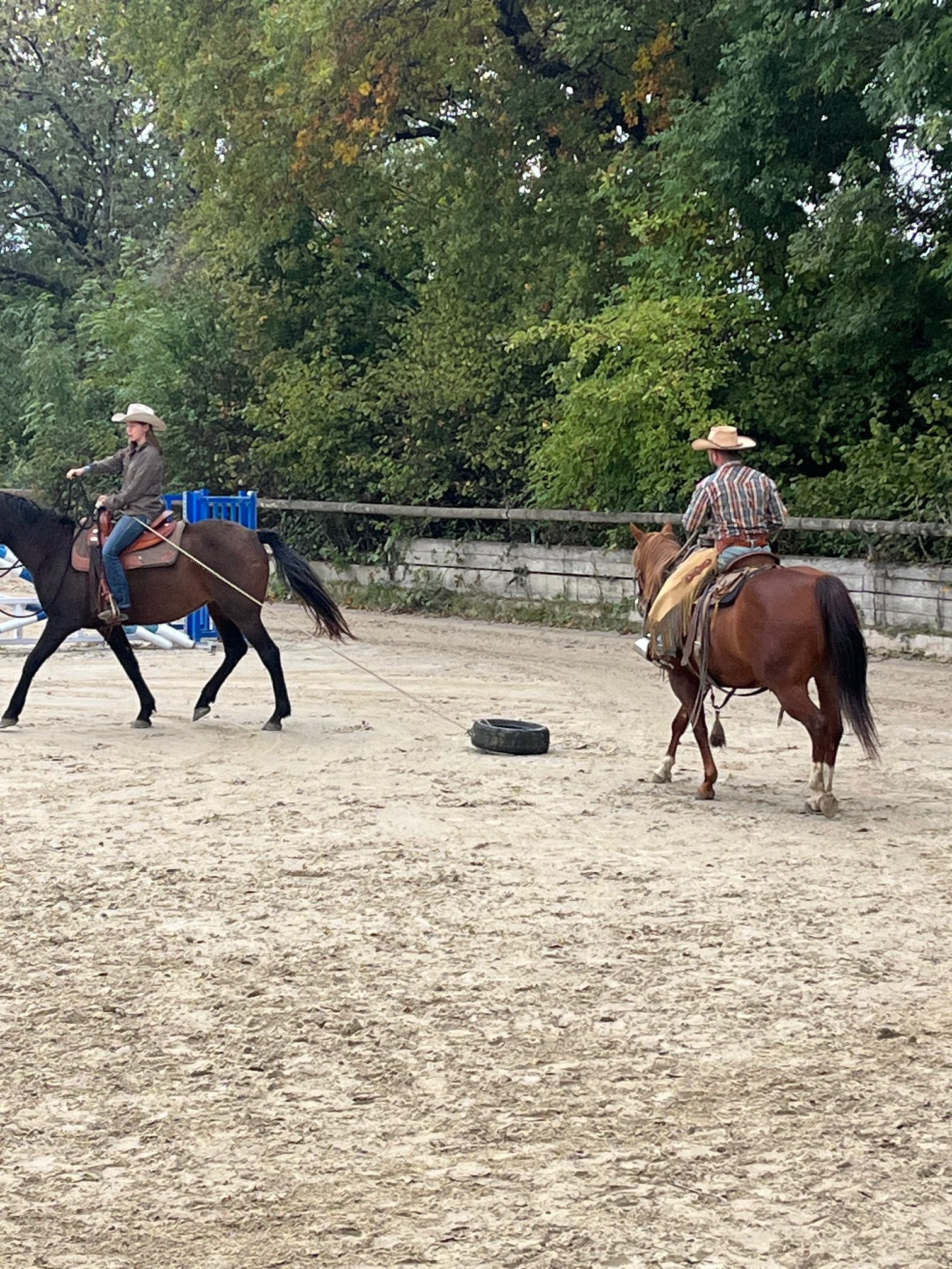 Equitation Western - Stage -Genève Ain