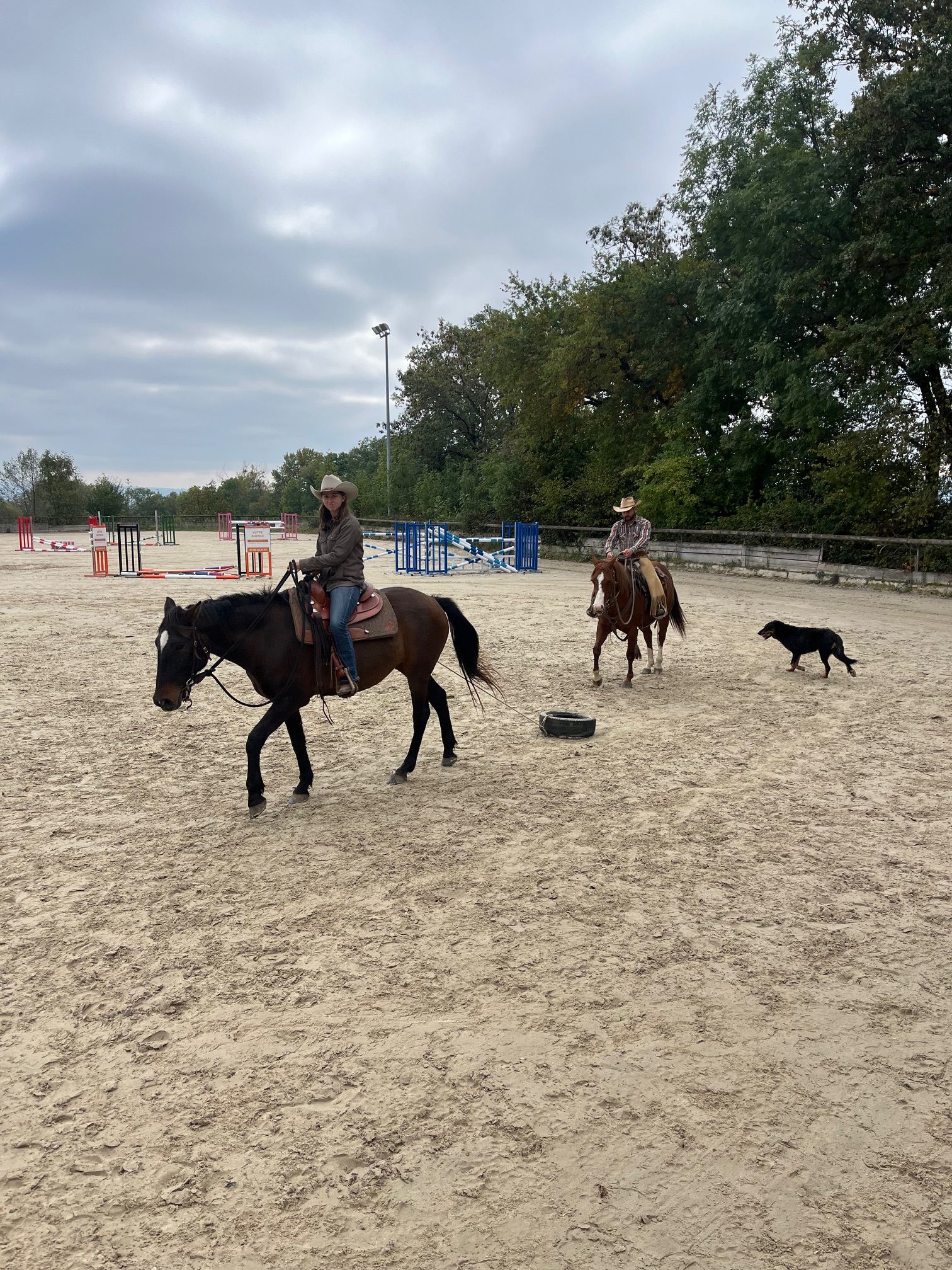 Equitation Western - Stage -Genève Ain
