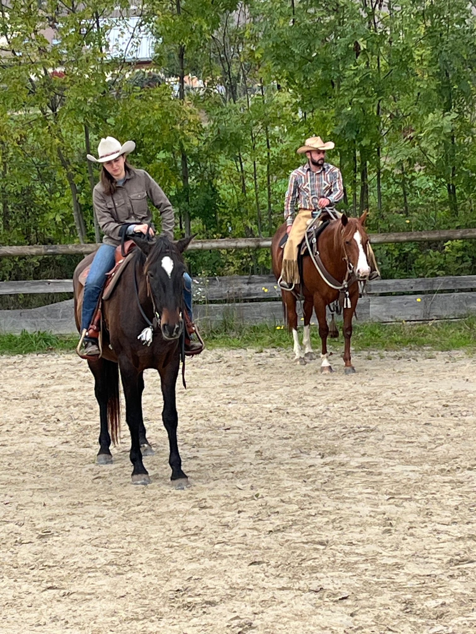 Equitation Western - Stage -Genève Ain