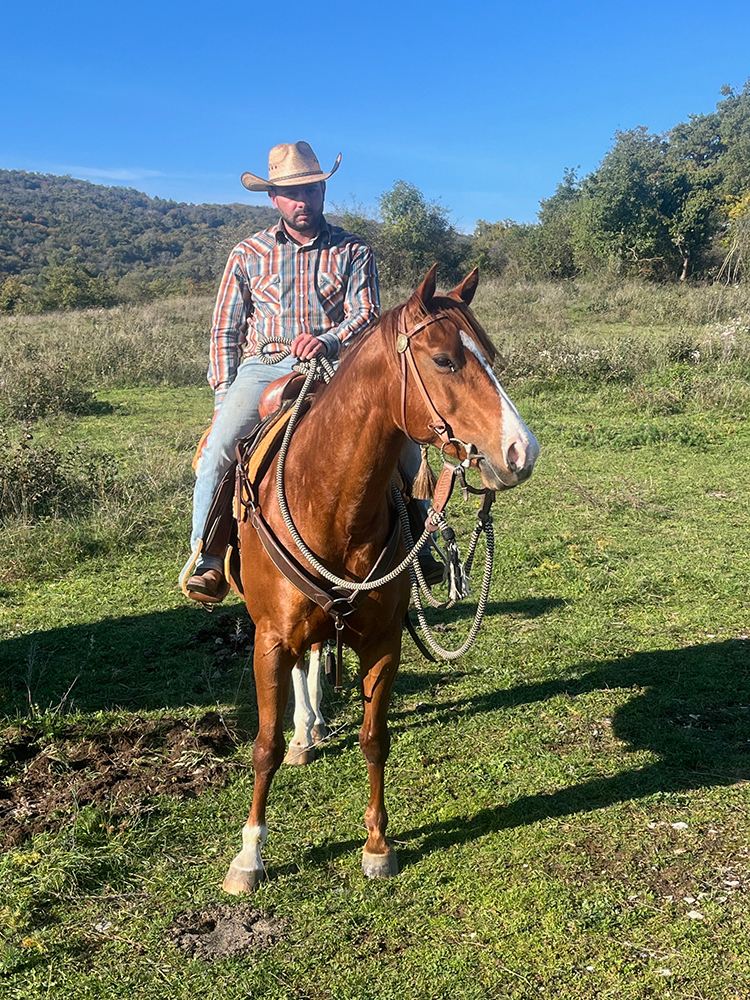 Equitation Western AIn et Genève