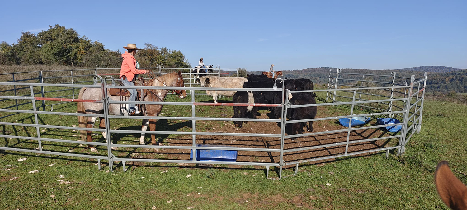 Equitation Western AIn et Genève
