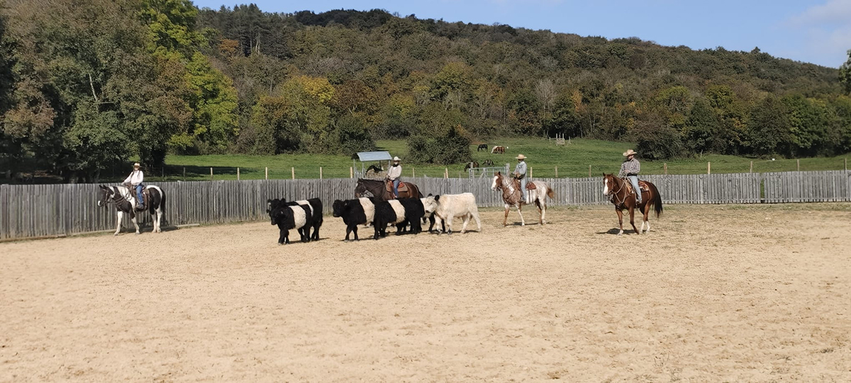 Equitation Western AIn et Genève