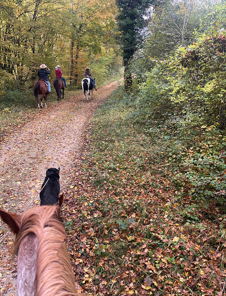 Equitation Western AIn et Genève
