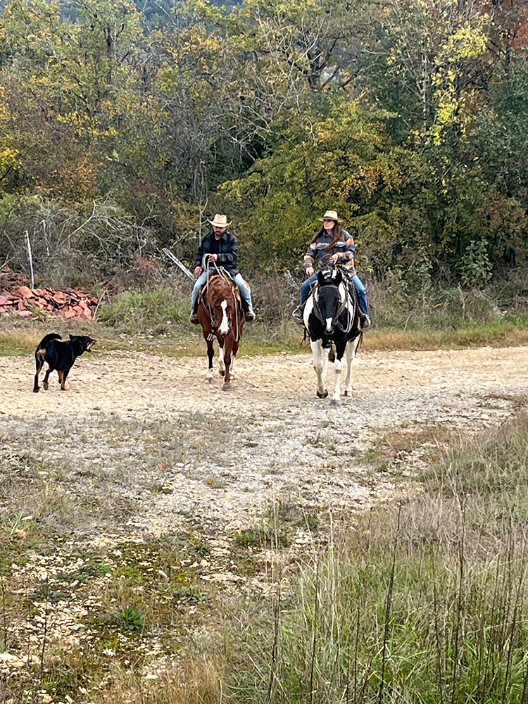 Equitation Western AIn et Genève