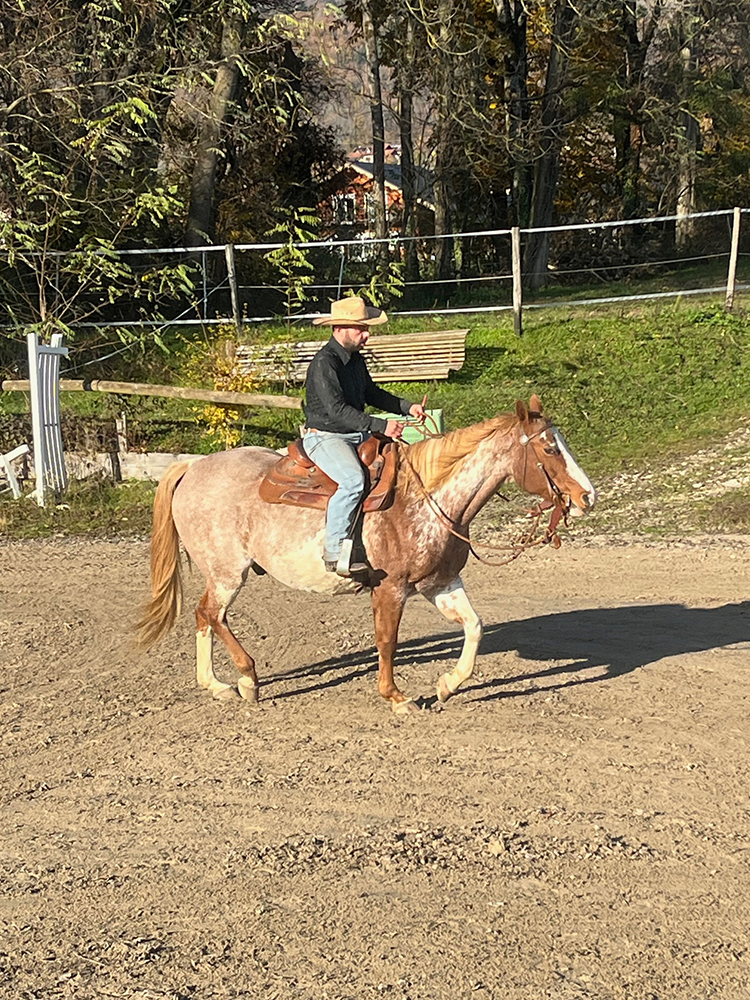 Equitation Western - Stage Horsemanship