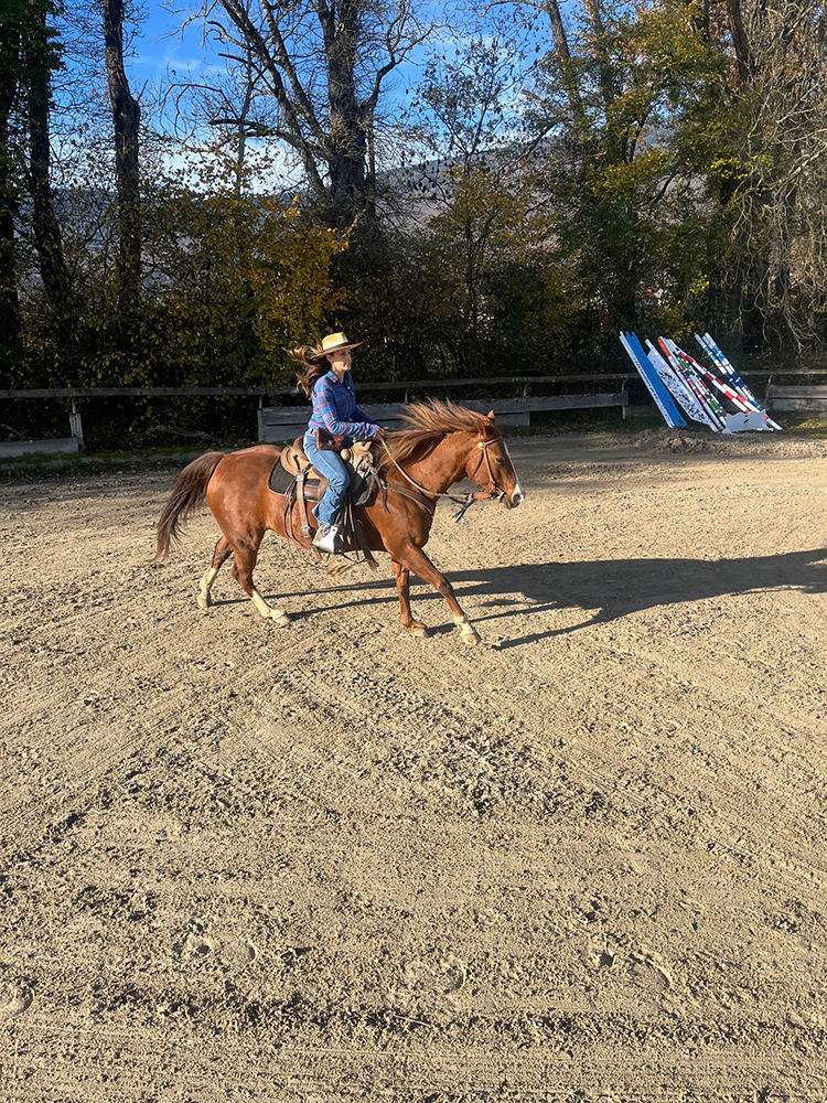 Equitation Western - Stage Horsemanship
