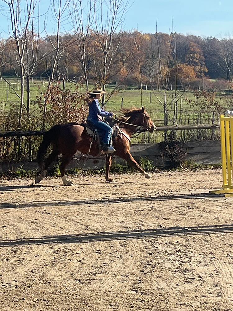 Equitation Western - Stage Horsemanship