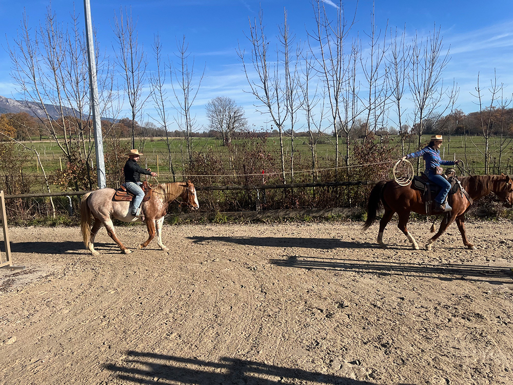 Equitation Western - Stage Horsemanship