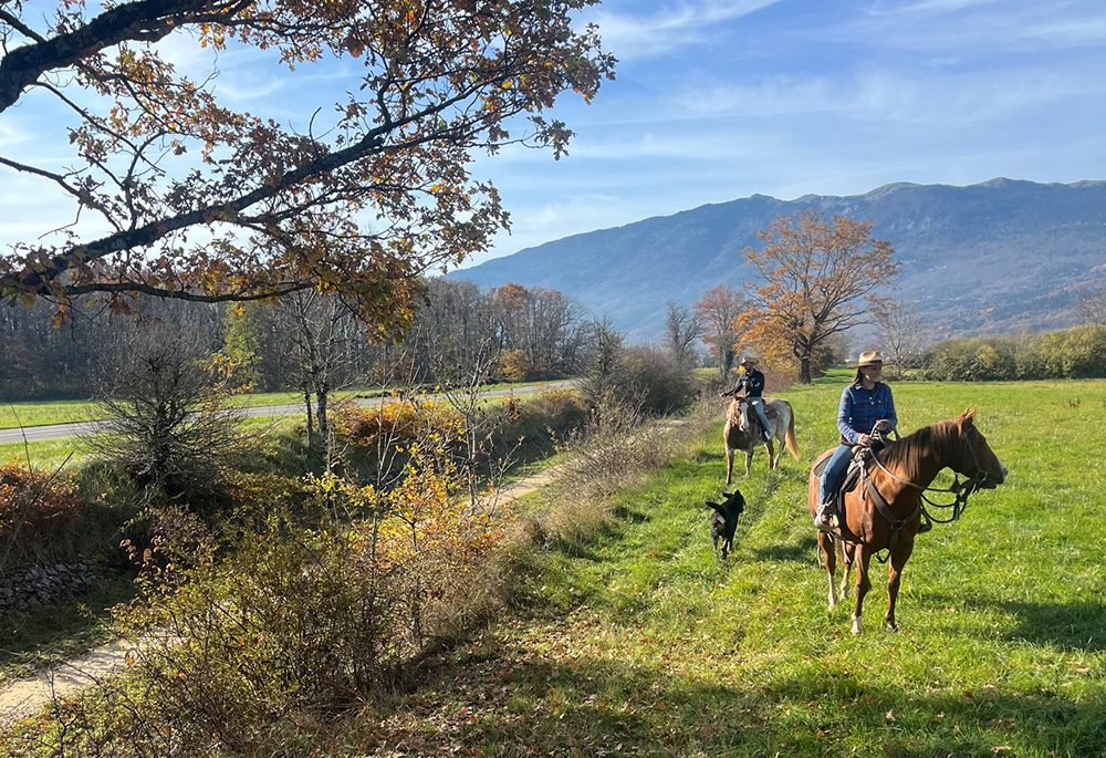 Equitation Western - Cours ballade