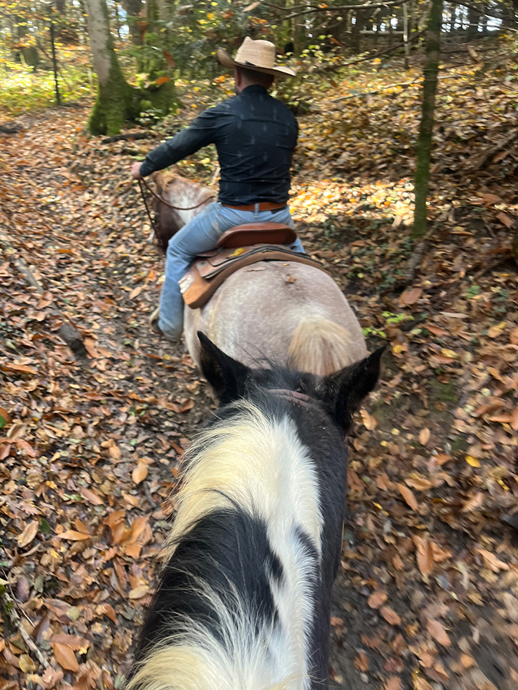 Equitation Western - Cours ballade