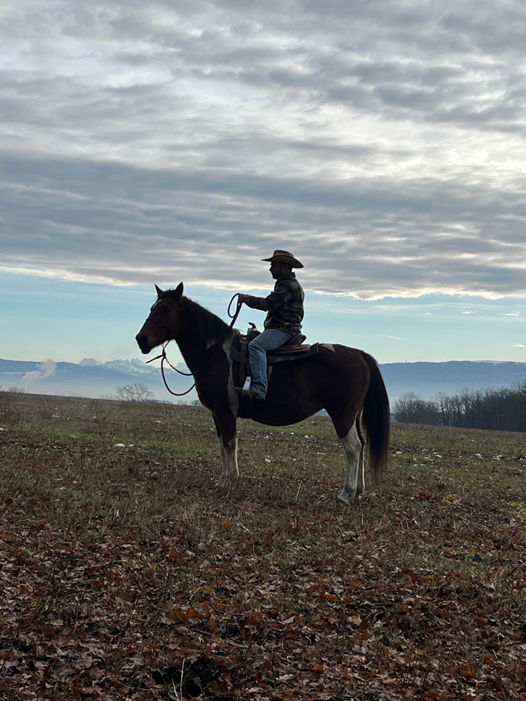 Equitation Western - Cours ballade