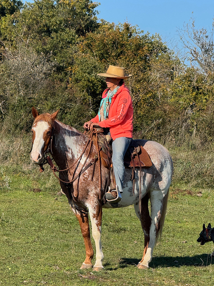 Equitation Western AIn et Genève