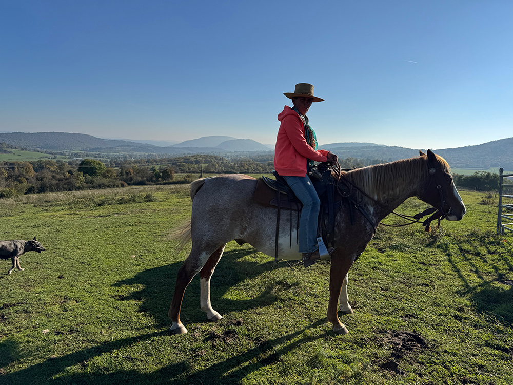 Equitation Western AIn et Genève