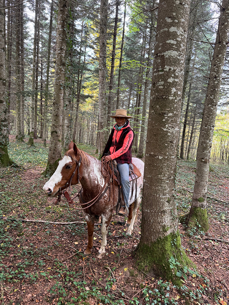 Equitation Western AIn et Genève