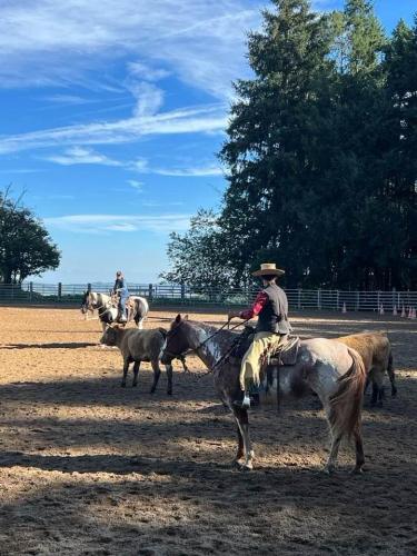 Horsemanship